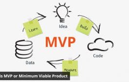 What is MVP and Why is it Necessary? — A Beginners Guide